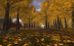 Autumn Wood in The Trace Too, Second Life