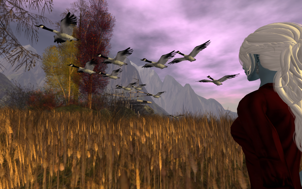 Flight of Canadian Geese, The Trace Too, Second Life